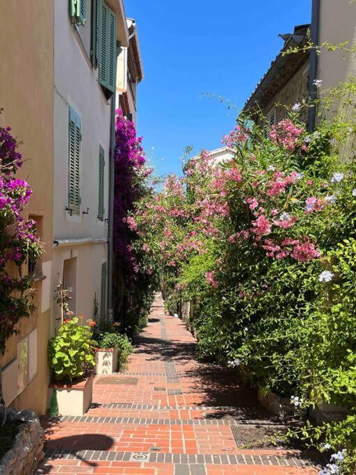 Moringa - New Unit For 2 Ac Close To Beach Antibes Eksteriør billede